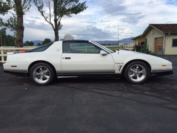 Thumbnail Photo undefined for 1984 Pontiac Firebird Trans Am Coupe
